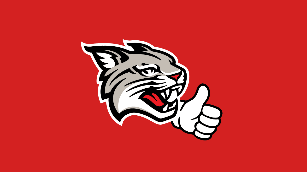 WildcatReviews. — project screenshot