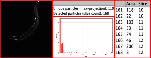 Image Analysis Research Assistant